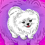 Release The Pomeranian Dog Games2Jolly