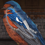 Release The Swallow Bird From Cage Games2Jolly