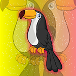 Release The Toco Toucan Games2Jolly