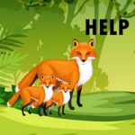 Rescue American Redfox Family BigEscapeGames
