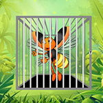 Rescue Innocent Honey Bee BigEscapeGames