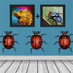 Rescue Pet Spider 8BGames