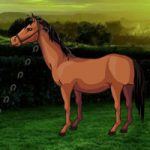 Rescue The Arabian Horse Games2Rule