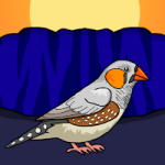 Rescue The Australian Zebra Finch Games2Jolly