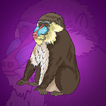 Rescue The Baboon Monkey Games2Jolly