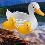 Rescue The Baby Ducks BigEscapeGames