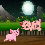 Rescue The Baby Pig BigEscapeGames