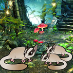 Rescue The Baby Squirrels BigEscapeGames