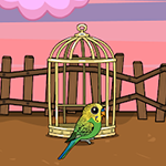 Rescue The Budgerigar From Cage Games2Jolly