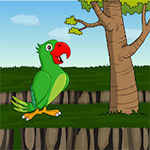 Rescue The Cute Parrot From Cage Games2Jolly