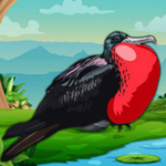 Rescue The Frigate Bird BigEscapeGames
