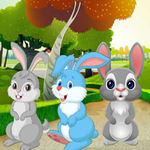 Rescue The Funny Rabbit BigEscapeGames