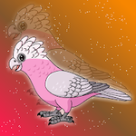 Rescue The Galah Cockatoo Games2Jolly