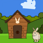 Rescue The Gray Rabbit From Cage Games2Jolly