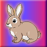 Rescue The Hungry Bunny From Cage Games2Jolly
