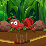 Rescue The Innocent Ant WowEscape