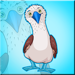 Rescue The Locked Booby Bird Games2Jolly
