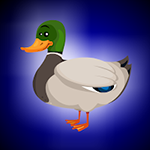 Rescue The Mallard Duck In Cage Games2Jolly