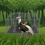 Rescue The Riding Bird BigEscapeGames