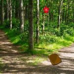 Rescue The Snake From Tunnel Forest BigEscapeGames