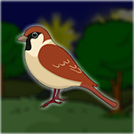Rescue The Sparrow From The Cage Games2Jolly
