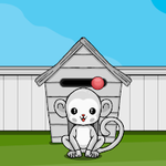 Rescue The White Monkey FastrackGames