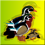 Rescue The Wood Duck Family Games2Jolly