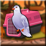 Ringneck Dove Rescue From Forest Games2Jolly
