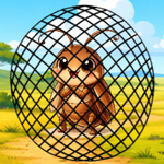 Roach Net Escape Games2Live