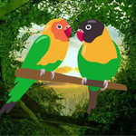 Romantic Parrots Escape Games2Rule