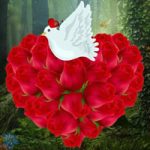 Rose Blossom Day Escape WowEscape