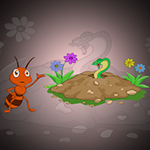 Save The Ant House Games2Jolly
