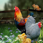 Save The Hen Family BigEscapeGames