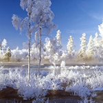 Save The Little Yeti WowEscape