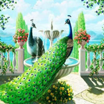 Save The Peacock Dragon BigEscapeGames