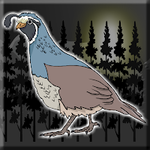 Save The Quail From Cage Games2Jolly