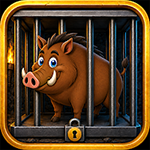 Save The Wild Boar Games2Jolly