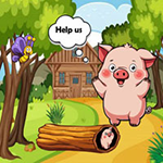 Save Wooden Stuck Tiny Piggy Games2Rule