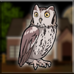 Screech Owl Rescue Games2Jolly