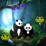 Searching Missed Panda Siblings BigEscapegames