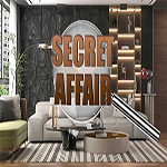 Secret Affair Hidden247