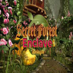 Secret Forest Enclave Escape 365Escape