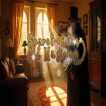 Secret Of The Old Magician Hidden247