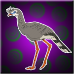Seriema Bird Escape Games2Jolly