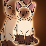 Siamese Cat Escape Games2Jolly