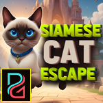 Siamese Cat Escape Games4King