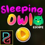 Sleeping Owl Escape Games4King
