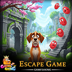 Smart Dog Escape Games4King