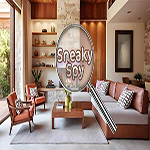 Sneaky Spy Hidden247