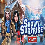 Snowy Surprise Hidden4Fun